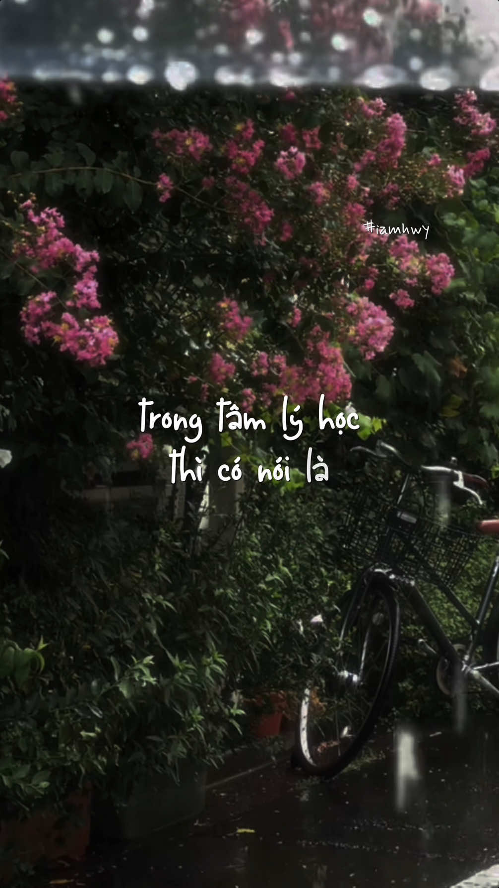#iamhwy2509 #fypシ #xuhuong #lyrics #podcasts #foryou #trending #quote #chualanh 