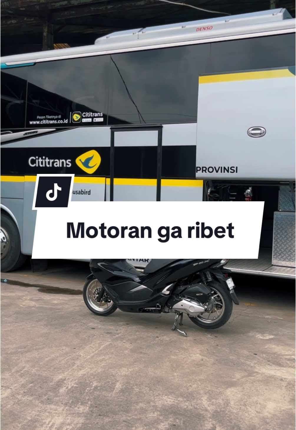 Nyari duit udah susah, liburan jangan dibikin susah 🙏🏼 Luv @Cititrans Indonesia 💛 Sampai jumpa di Malang! #pcx150 #pcxproperid #pcxindonesia #serunyaliburan #euforia2025 #ekspresikan2024 #fyp 