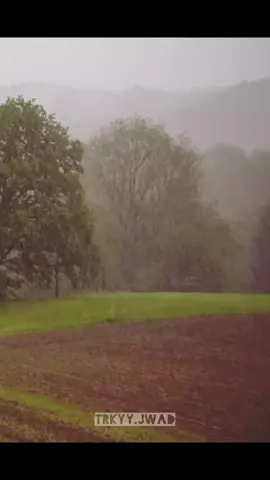 السنة عند نزول المطر #محب_الشيخ_صالح_المغامسي #fyp #سوريا  #مصر #السعودية 