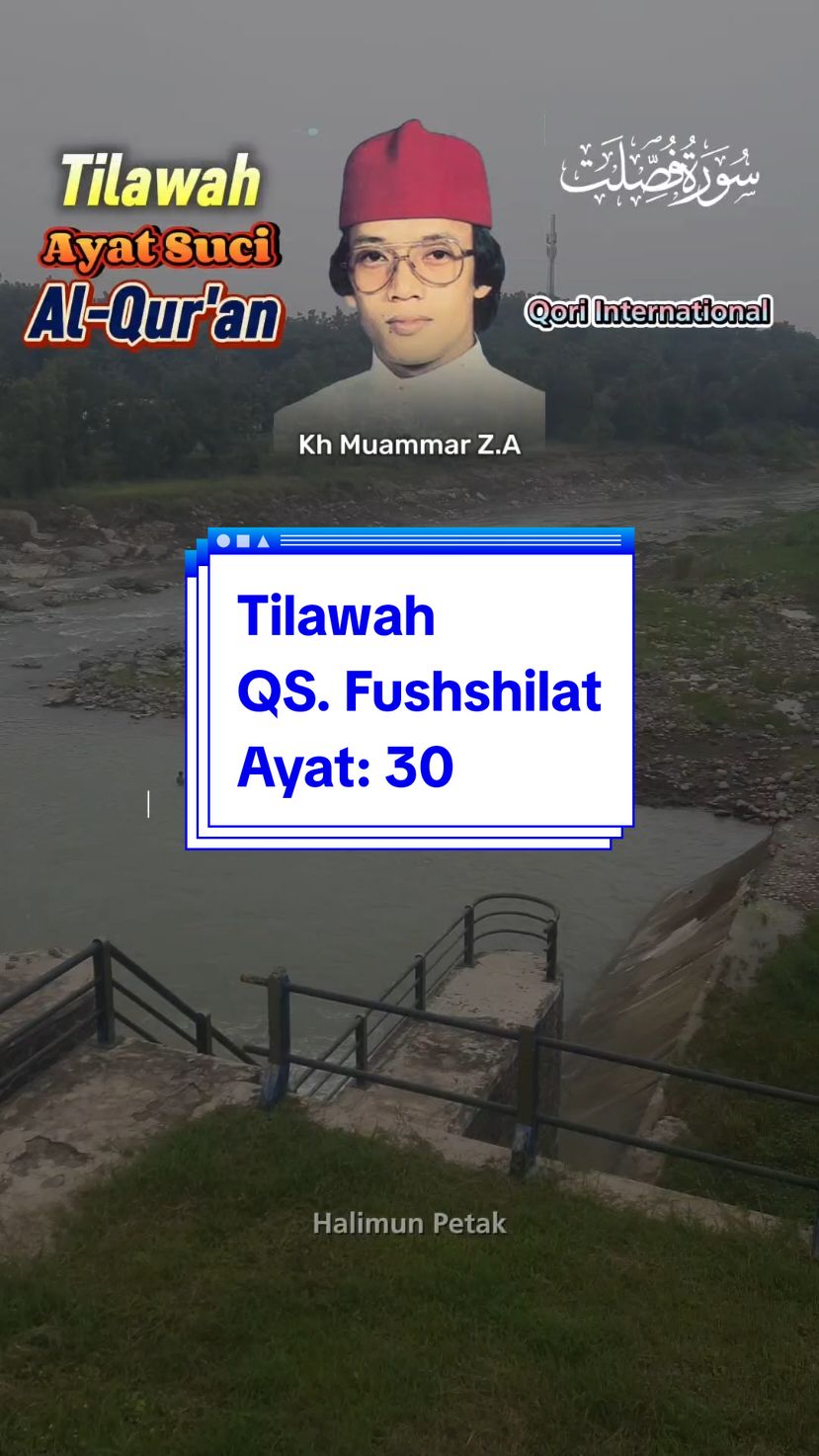Tilawah QS. Fushshilat Ayat: 30 Qori International Kh Muammar ZA #tilawahalquran #qoriindonesia #qoriinternational #qorikhmuammarza #islamic_media #suaramerdu #berandatiktok #fypシviral #fypシ #viral_video #surahfushshilat