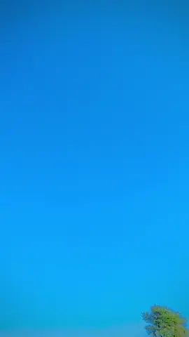 #foryoupage #Miss  you😔🫀