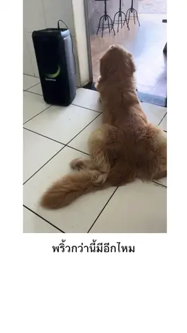 พริ้วเกิน #คลิปตลกขําๆฮาๆ #คลิปตลกๆขําๆ🤣🤣 #คลิปตลกฮาๆขําจนน้ําเล็ด😂 #คลิปตลกขําๆฮาๆที่นี้ที่เดี๋ยว👍 #คลิปสนุก #คลิปฮาน้ําตาไหล #คลิปฮาประจําวัน🔥🤣 #คลิปตลกขําๆ #ฟีดดดシ #ตลกมาก #คลิปฮาๆขําๆ #ฟีด #ฟีดดด 