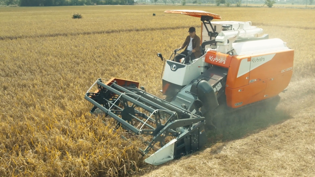 แรง ครบ พร้อมท้าทายเป้าหมายที่ยิ่งใหญ่ 😎 ใหม่! รถเกี่ยวนวดข้าวคูโบต้า DC-120X ขนาด 120 แรงม้า มาพร้อมระบบเลี้ยวแบบอิสระ K-Turn แรง ครบ จบ เรื่องงานเกี่ยว ด้วยฟังก์ชันจัดเต็ม เพื่อนักเกี่ยวมืออาชีพโดยเฉพาะ #KUBOTA #คูโบต้า #นวัตกรรมเกษตรเพื่ออนาคต #รถเกี่ยวนวดข้าวคูโบต้า #รถเกี่ยวนวดข้าวคูโบต้า 