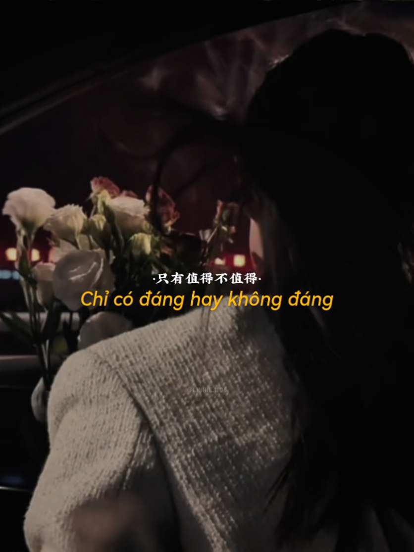 只是我太笨.. #nhactrung #chilatoiquangoc #douyin #xuhuong #tnlcorner 