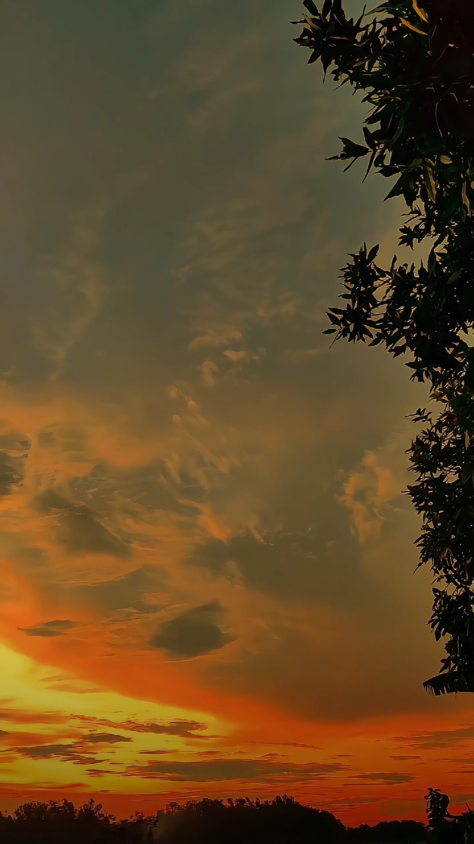 النهاية الخيار الأفضل لكل حادث هو القبل والتسامح والتخلي 