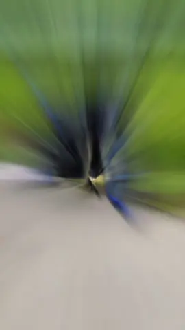 Biruu lagi🥰🥰🥰 #natha28 #vndracing  #surexstyle  #fyp 