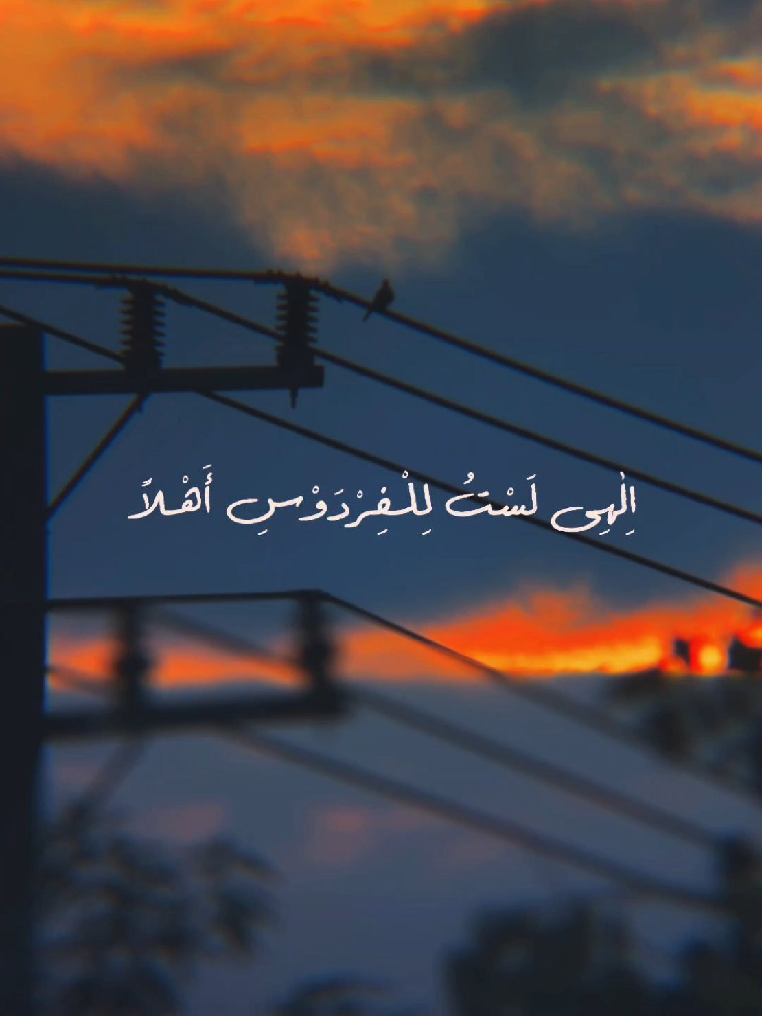 Ya Allah seindah apa diujung sana 🥺 #ilahilastulilfirdaus #alitiraf #syairabunawas #sholawat #cover #vibessunset #jumat #jumatberkah #fyp #fypシ 