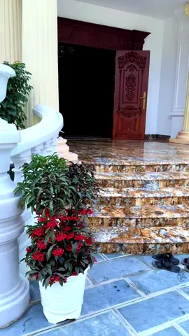 Hạ cánh 2024 Cất cánh 2025  Nghỉ ngơi ăn tế… #capcong #vangbachduong 