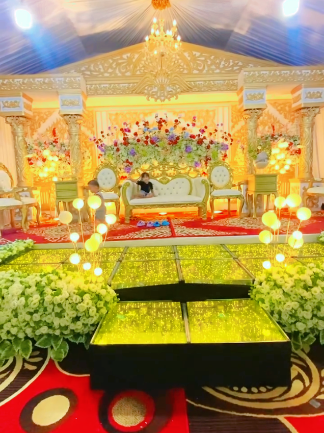 plaminan adat premium, deng una pallamming, plaminan murah,mewah, meriah. #wedding #pengantin #pengantinsulawesiselatan #weddingbugis #bugis #fyp #foryou #foryoupage #fypシ 