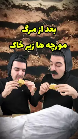 وقتی می‌میریم اینجوری میشه 😂 #طنز #ویدیو_کمدی #ویدیو_طنز #مرگ #مردن #کمدی #مورچه #خدا #بهشت #جهنم #قبر #خنده_دار #فان #شوخی #امین_منتال #کاستوم #کفن #باحال 