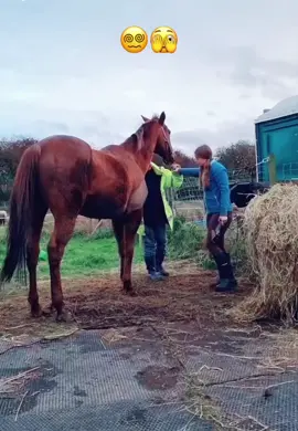 #horses #fpyシ #dangerous #becarefull #learning #learningtodog #horsegirl #fyp #hurt #viral_video  #horseridinglesson  