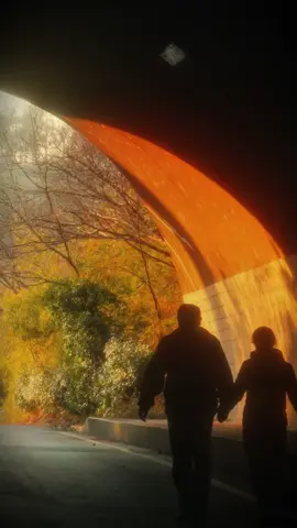 Một giây thôi đừng trôi để anh được nói câu 