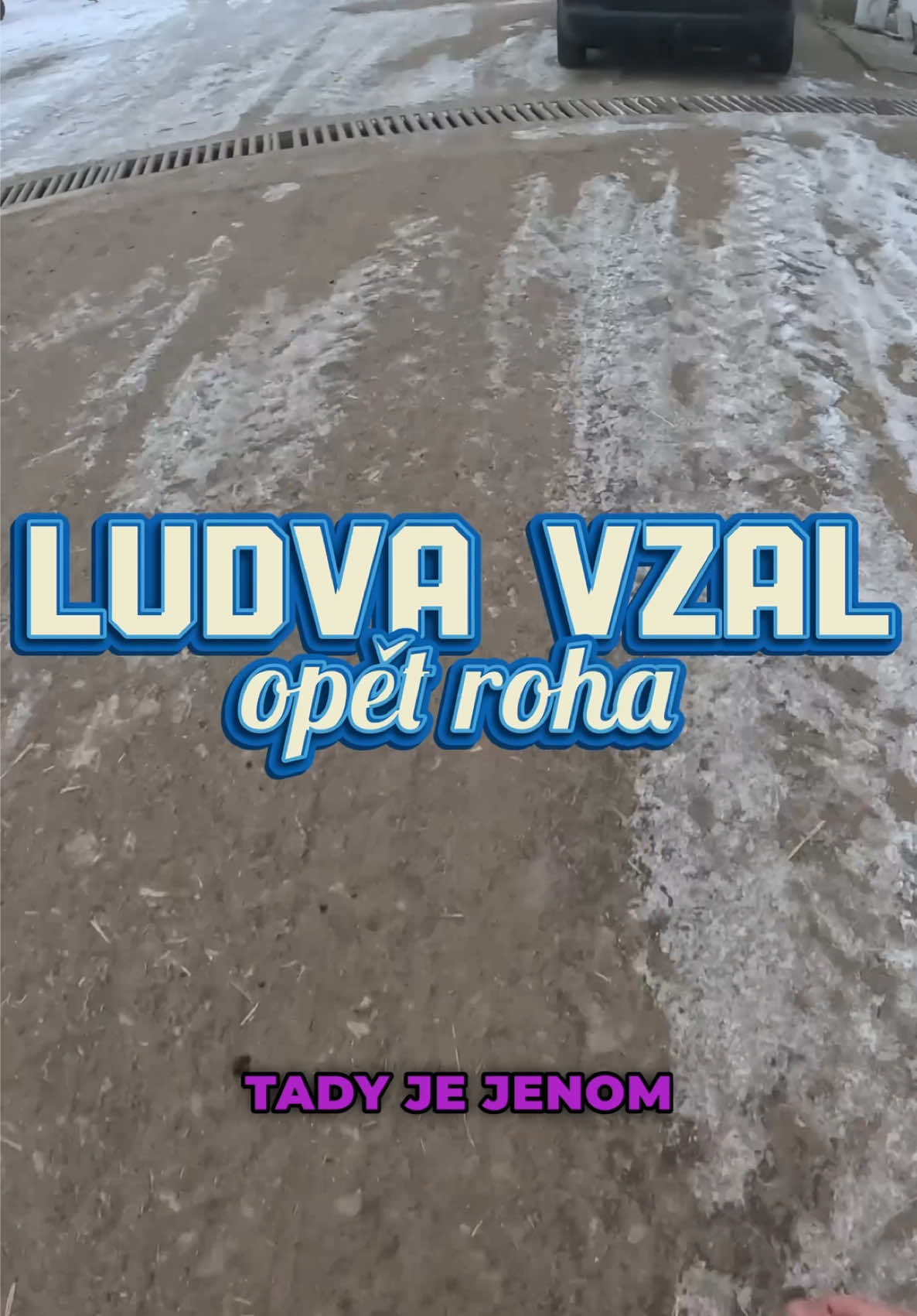 Ludva bude průserář. 🤣 #farmlife #funnytiktok #viralvideos 