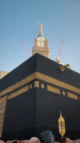 Mecca 🩷 @Videografer Makkah Madinah 