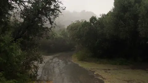 البارحه صارت عمر . #اكسبلورexplore #foryou #viral 