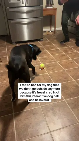 It frees up my time too since he can play with this on his own! #dog #dogtoy #dogball #petowner #pet #indoordog #tiktokshop #fyp 