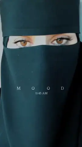 #بني_حميدة_عيال_السياح_قاهرة_الأتراك 