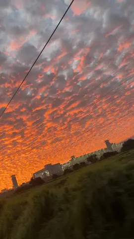 #ipialesciudadeenubesverdes #paisajesnaturales #nariñoaventuras #veranotraidor #vilmapalmaevampiros 