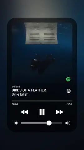 Bird Of A Feather> #spotify #lirikspotify #liriklagu #billieeilish #fypage #fyp 