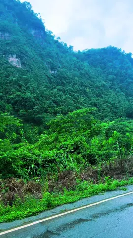 #contenidotiktok 😁