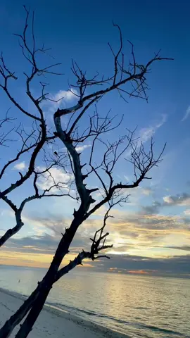 Abhi mujh mein kahi  Baaki thodi si hai zindagi 🥲   #fyp #foryoupage #bollywoodsong #hindisong #foryou #lyricsvideo #sunsetlover #beachvibes #abimujhmeinkahi 