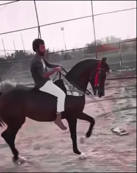 #افلح_من_ذكر_الله_وصلى_ع_النبي♥️ #تيك_توك #🔥 #اكسبلور #اكسبلور_تيك_توك 