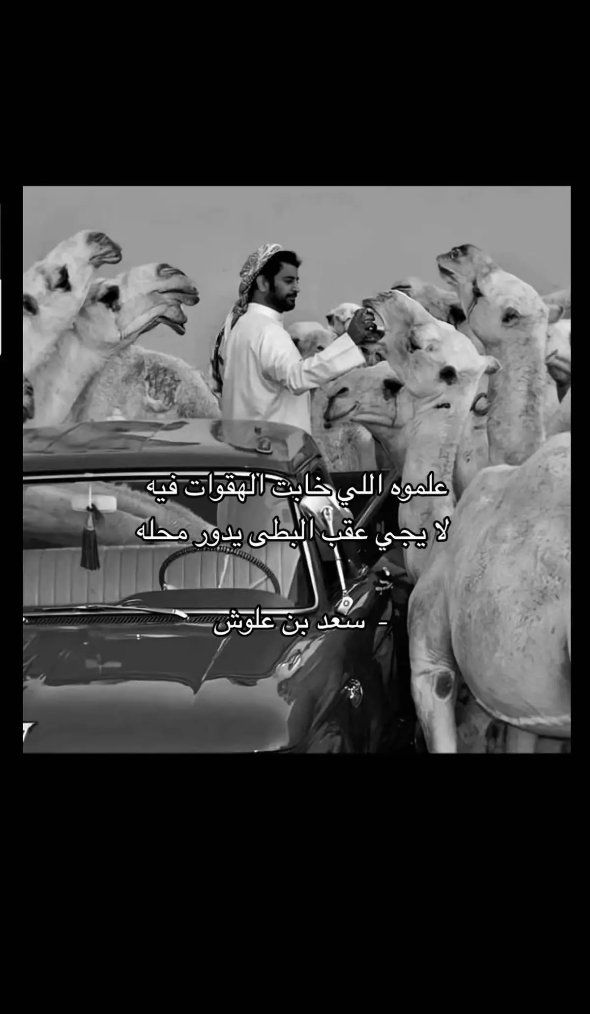 #سعد_علوش#شعر#explore 