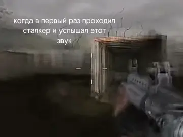 После таких звуков стрёмно выходить из базы #сталкер #сталкертч #звукисталкера #атмосфера #страх #stalker 
