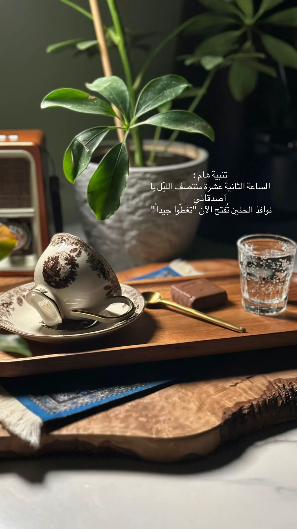 #your_coffee #قهوة_مختصة #coffee #v60 #paegeforyou #الشعب_الصيني_ماله_حل😂😂 #اسبريسو #tiktok #fyp #foryou #خواطر #explore_اكسبلور #اقتباسات #explore 