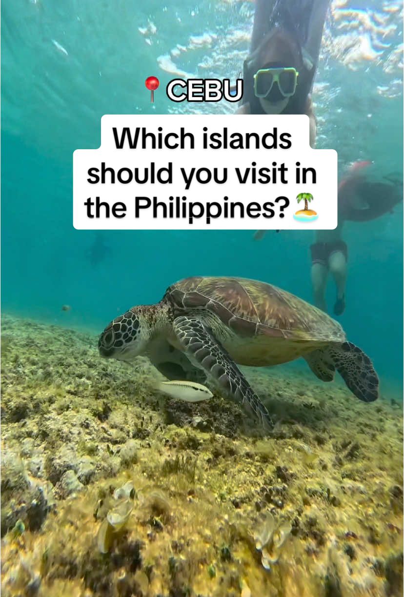 Which islands should you visit in the Philippines based on your travel type?🇵🇭 Hope this helps you & comment below if you have any questions! ☺️ #philippinestravel #philippinestraveltips #philippines #islandsinthephilipines #travellife #traveltiktok #travelcontentcreator