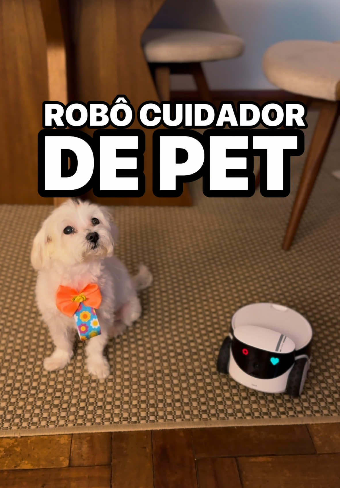 MANDA PRA QUE PRECISA DE UM! Há muito tempo eu queria testar esse robô pra pet. E eu garanto, É MELHOR DO QUE EU IMAGINAVA. A câmera é muito boa, a velocidade é excelente, os sensores são bons e a Aurora se adaptou MUITO rapidamente com a presença dele (talvez por conviver há anos com robô aspirador). O app é em português e é incrível. Ele entrega tudo que promete, o robô é um COMPANHEIRO DO SEU PET. Apesar do nome ser engraçado aqui para o Brasil, o manual também está em PT BR e a fonte vem no padrão nacional, então apesar de o nome não ser amigável, eles sempre pretenderam vender aqui. A única coisa que pega nesse robô é o preço… sempre né! A gente tem costume de comprar e testar coisa elite, mas esse surpreendeu no preço. Importando você gasta por volta de R$ 2600,00, aqui no Brasil, encontrei por R$ 2400 e esse meu aqui do teste será vendido mais barato, já que eu ganhei vários. Se quiser o link do testado em vídeo, comenta PET que vai na DM. E me segue pra mais reviews “fora da caixa”. #pet #casainteligente #robo #família