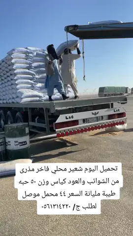 #برسيم#برسيم_صافي #علف#اعلاف#تبن_بر_قمح#رودس#شعير#مزارع_حائل #مزارعين_السعودية #مطانيخ #مشاهير_الخليج #اكسبلور#دواسر#مطير_حمران_النواظر #شمر#قحطان#عتيبه#ابل#الابل_عطايا_الله_عشاق_البداوة_🐪😍 #هاشتاق_السعودية #مغاتير_وضح #عشاق_البدو#عشاق_الذود#ترند_السعودية #المرور_السعودي #الراجحي #وادي_الدواسر #الدوادمي_الان #القصيم#الشرقيه_الخبر 