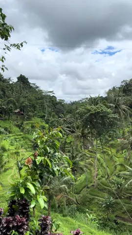 #canada_life🇨🇦 #indonesia🇮🇩 #bali #music #nature #travel 