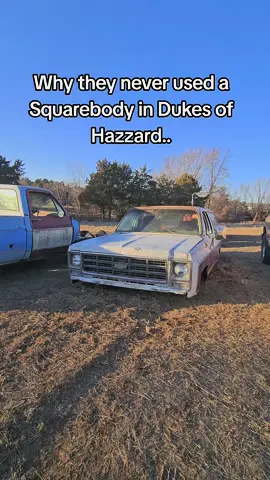 I hood ornament would suck.  #chevy #squarebody 