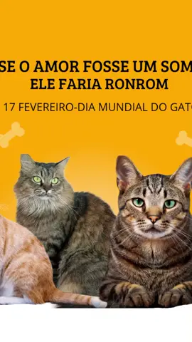 #4patas #amor #gatos