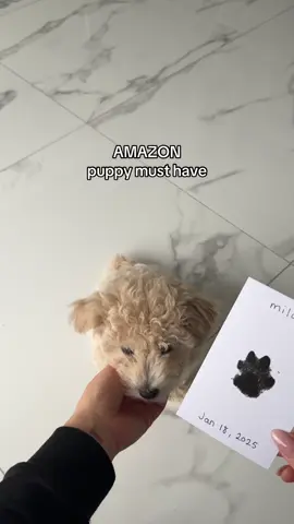 this is the best pet gift!  this is a non-toxic paw print kit that is also mess free! It’s also safe for babies💕 find it at the top of my page in my amazon store✨  #petgift #pawprint #pawprintkit #newpuppy #newdogmom #amazonpetfinds #amazonmusthaves #puppyessential  inkless paw print, paw print kit, pet gifts, amazon pet finds, amazon must haves 