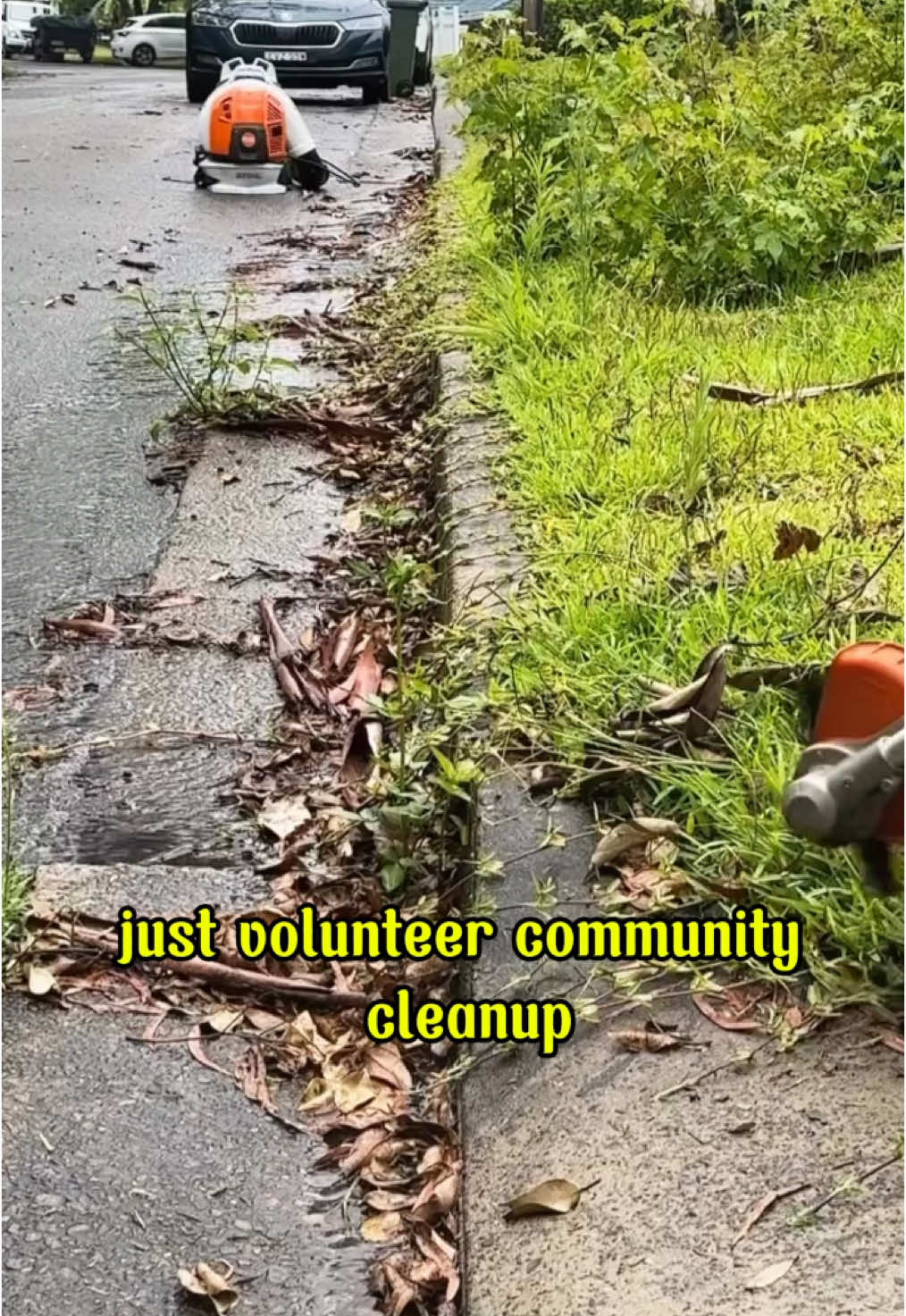 Just volunteer community cleanup 💪❤️ #clean #cleaning #help #mowing #satisfying #cleanup #cleaningtiktok #CleanTok #tranformation #happyday365 #community #satisfyingvideo 