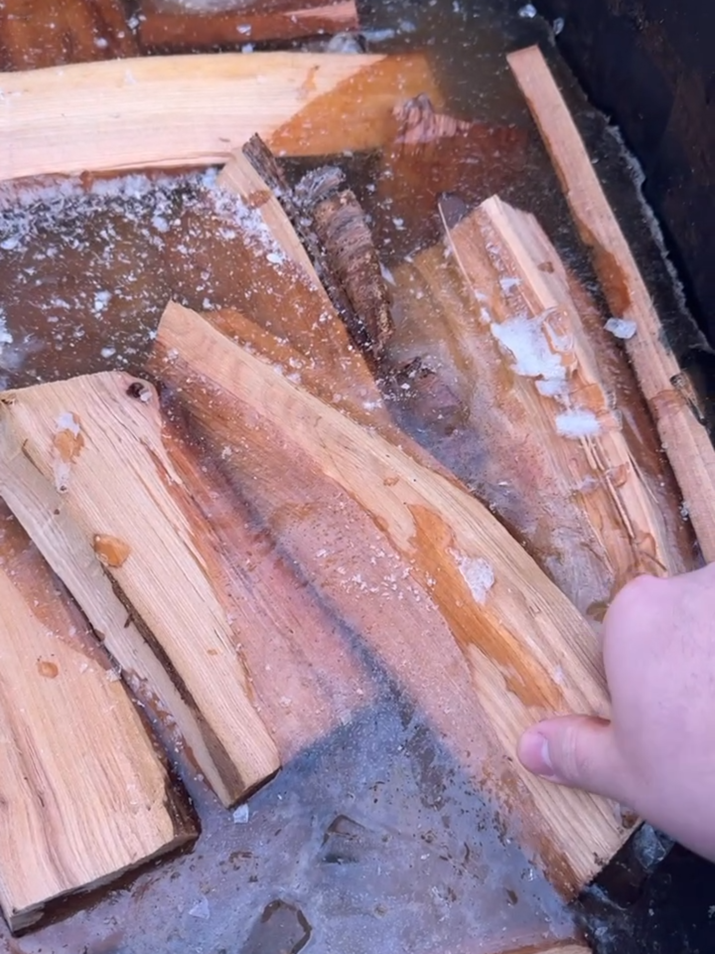 Might be time to find a different winter storage solution. #woodcarving #woodworking #asmr #bushcraft #carving
