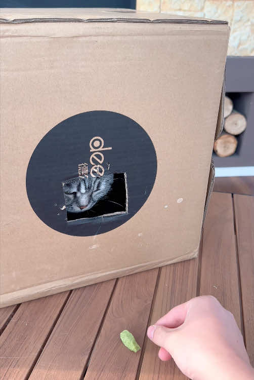 If your cat refuses to have its nails trimmed, you can try this method. The glowing indicator light ensures you won't accidentally cut your #cats #fyp #catsoftiktok #petnailclippers #catnails 