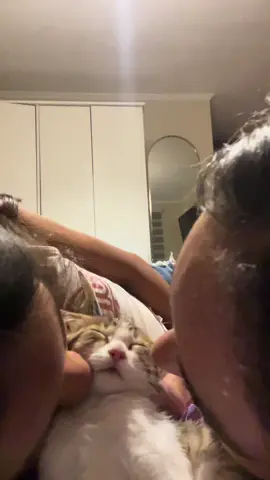 #cat #gatitos #kisses #vidadegatos #catlover #catlovers 
