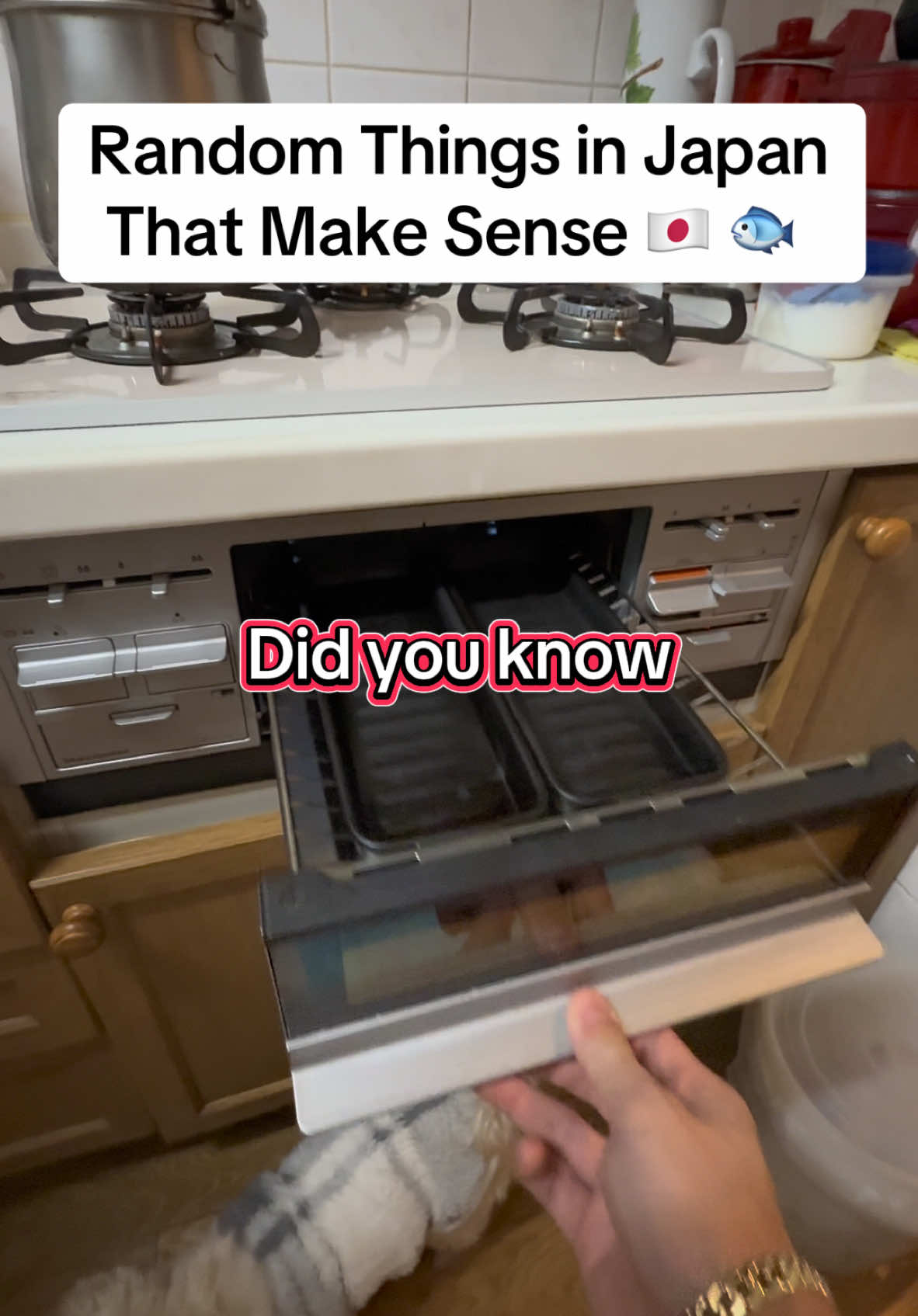 Random Things in Japan That Make Sense 🇯🇵🐟 Did you know stoves in Japan have built-in fish ovens? Genius or overkill? Would you use one at home? #travel #japan #japon #japantrip #japantravel #japanlife #japanculture 