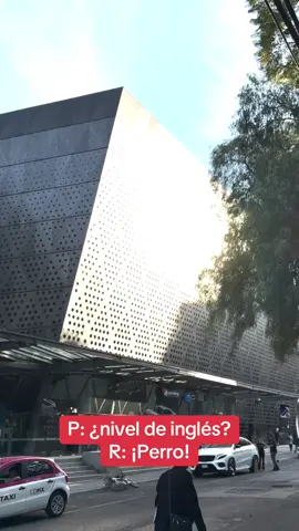¿Nivel de inglés? R: Perro. Sí, todo lo entiendes, pero no hablas nada. Pues aquí te tengo la solución: @Glish English. ¡En 4 meses eres bilingüe! #México #Inglés #Glish #Dakota #95 #Inversion #Promocion #Familia #Ingresos #Calidad #Vida #Perro 