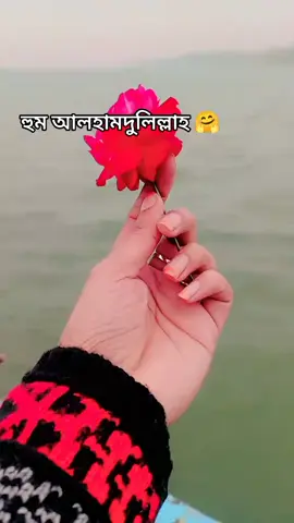 সৌদি পবাসীর বউ ❤️❤️❤️❤️##আলহামদুলিল্লাহ ❤️❤️❤️❤️