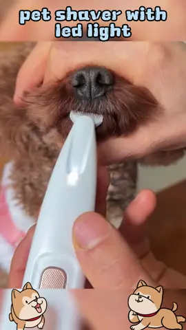 Pet shaver with led! #cat #foryou #electricshaver #electricfootshaver #groomingtools #petfootshaver #dogtrimmer #electrictrimmerwithledlight #footshaver #petgroomingtools #fyp 