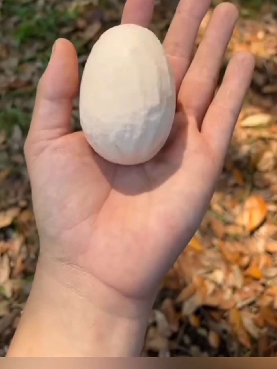 You Can_t Eat This Egg #fyp #LearnOnTikTok #viralvideo #foryou #new #amazing #fact #factocean #factflare #interesting #information #viral #video #forypupage 