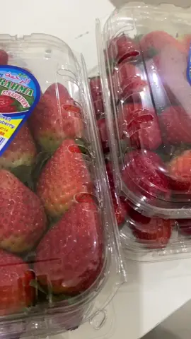 #التاجر_الصغير #school #ولدي_حبيبي #الفارس #اكسبلور #tiktok #fyp #foryou #bts #korea #🍓 #chocolate #الشعب_الصيني_ماله_حل😂😂 