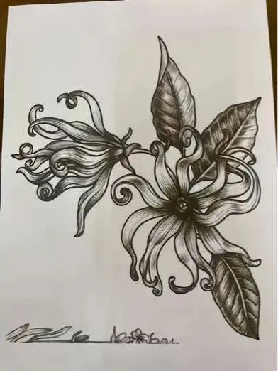 Bunga Kenanga, bunga identiti Terengganu, mempesonakan dengan kelopak panjang yang melengkung indah dan warna hijau kekuningan yang lembut. Harumannya yang manis menenangkan dan sering menjadi inspirasi dalam seni tradisional, menggambarkan keindahan semula jadi dan warisan budaya Terengganu. #bungakenanga #bungaidentiti #bungaidentititerengganu #batik #Art #craft #traditional #heritage 