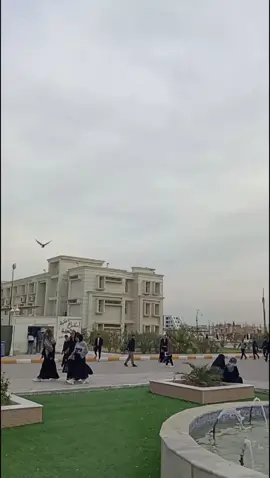 #كب كات#معهد_تقني_سماوه #الامام_علي #تصويري #مهندس #محاسبة_مالية #معهد_تقني_سماوه 