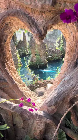 One of the most prettiest places in Thailand 🇹🇭 📍 Dantewada Waterfalls, Chiang Mai 💧 #thailand #thailandtravel #thailandtiktok #waterfall #fyp #thailandstyle 