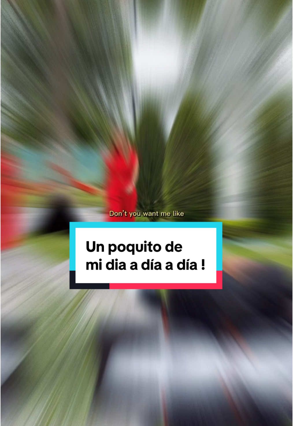 Un poquito de que hago en el día , junto a mi primcipe ❤️  #CapCut  #VibraAlto #EnergíaPositiva #Empoderamiento #exito #trabajo #ejecutiva 